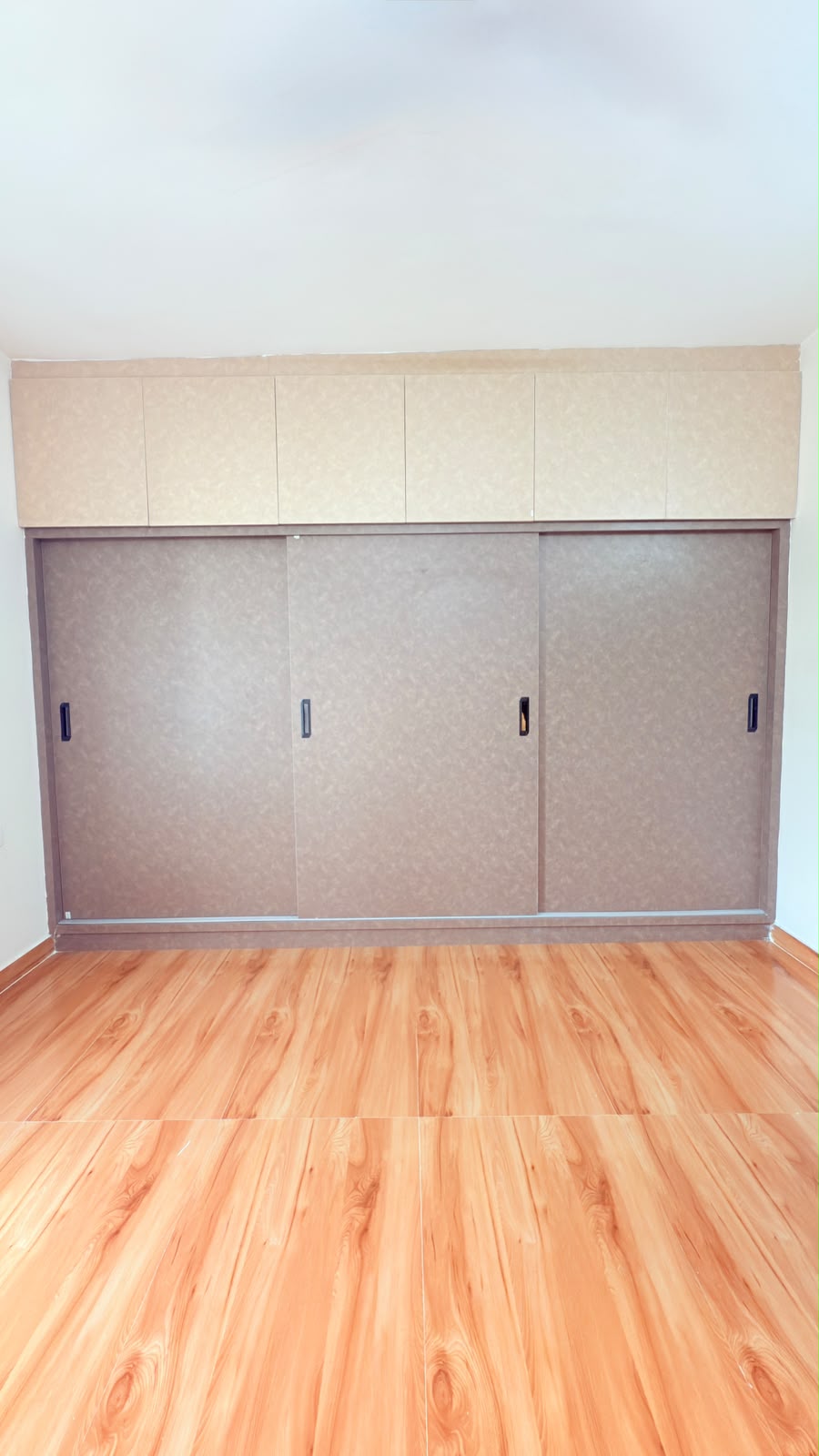 Main cupboard project after
