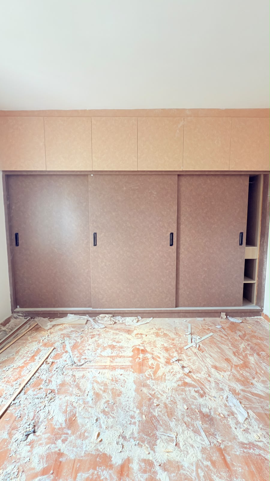 Main cupboard project before